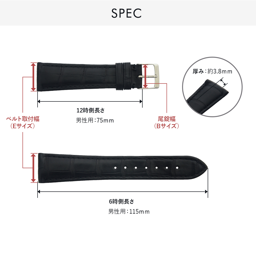 パテックフィリップ アリゲーター 純正ストラップ 19-16mm ワニ革 CASSIS パテック フィリップ（PATEK PHILIPPE） 用 裏面防水