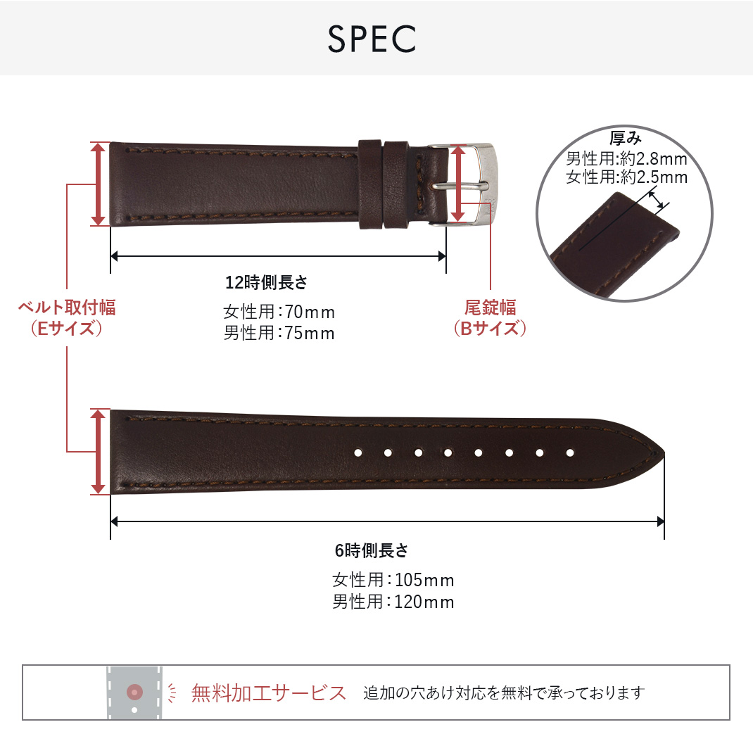 モレラート  AGILA アギーラ スペック