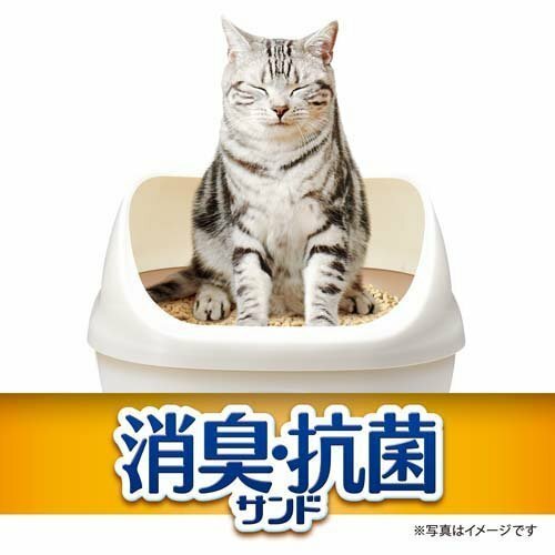 商品画像2