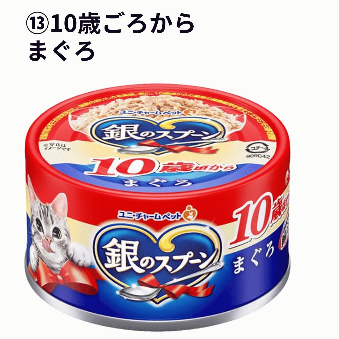 銀のスプーン 2箱 缶 【お得な96個セット】選べるキャットフード ユニ