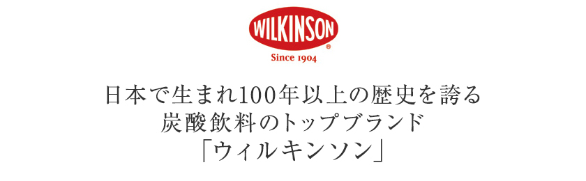 送料無料 包装不可 ウィルキンソン ジンジャーエール ペットボトル 1ケース 24本入り 500ml 同梱不可  :0905wilkinson-ginger-p50c:日本の酒専門店 地酒屋 萬禄 - 通販 - Yahoo!ショッピング