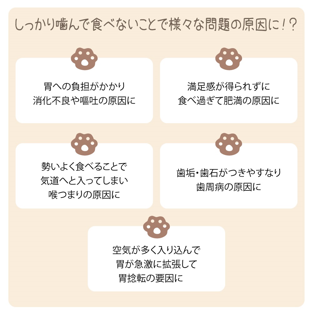 早食い防止ペットフードボールの商品画像