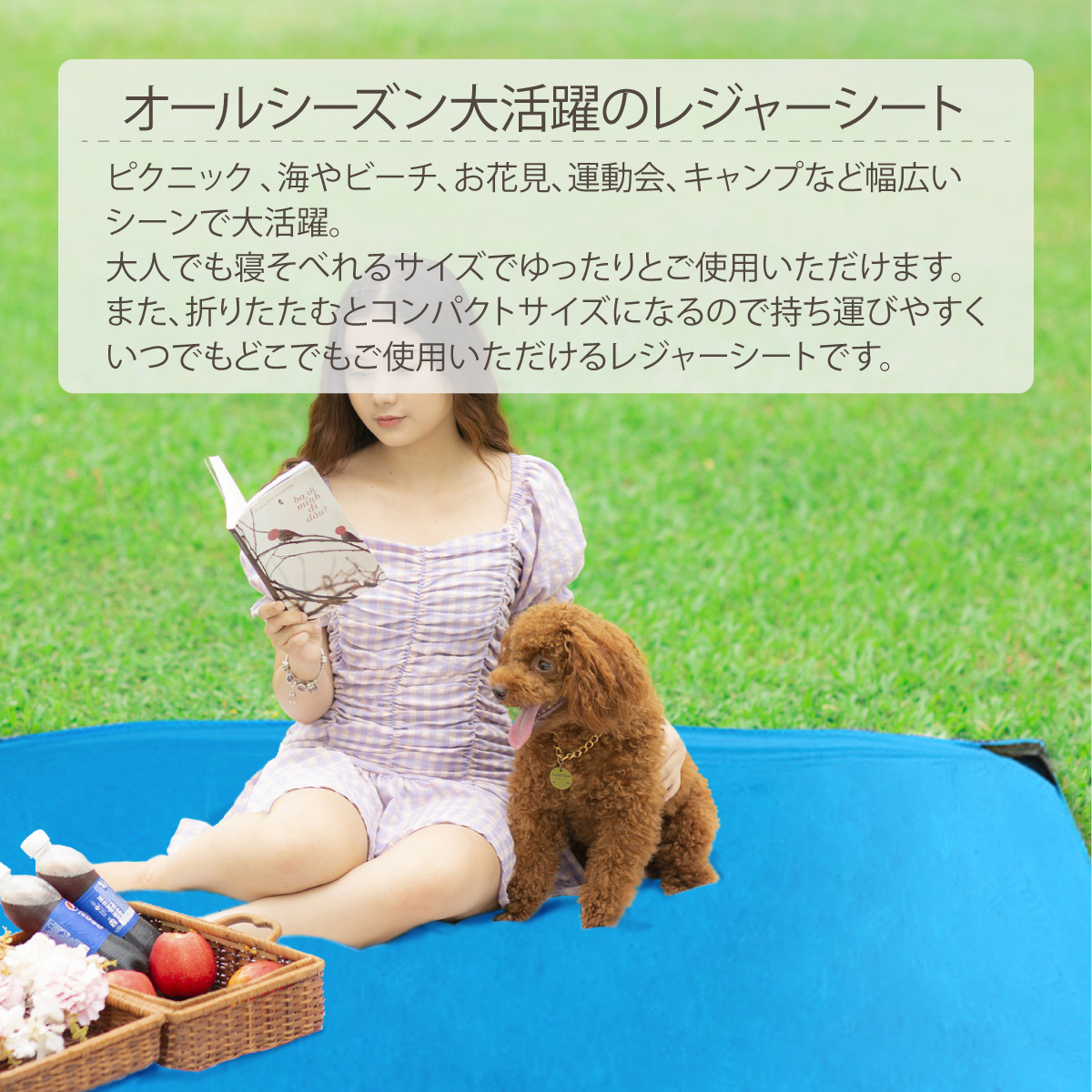 レジャーシート 5人〜8人用 200×210cm ペグ付き コンパクト 薄型