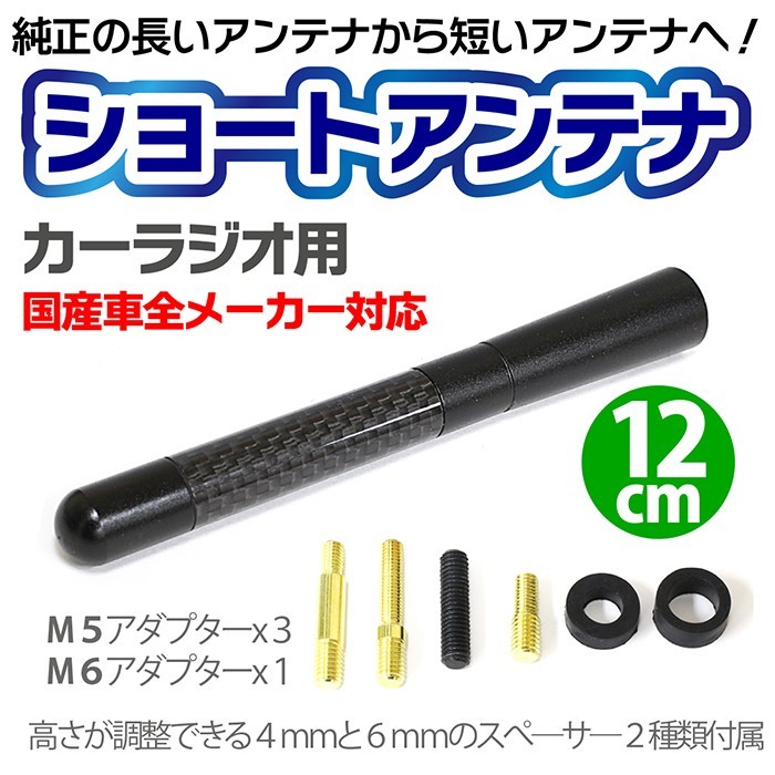 カーラジオ用ショートアンテナの画像