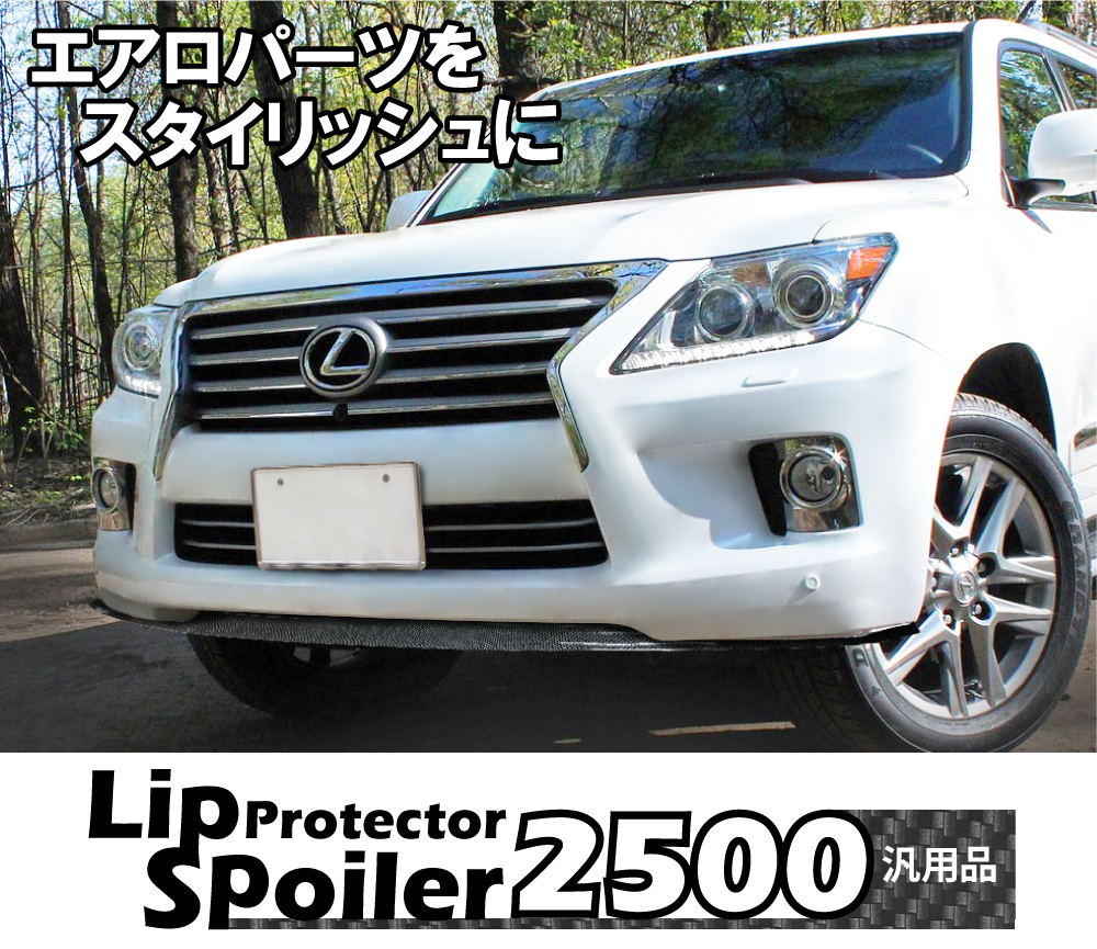 車のドレスアップにリップスポイラーの商品画像
