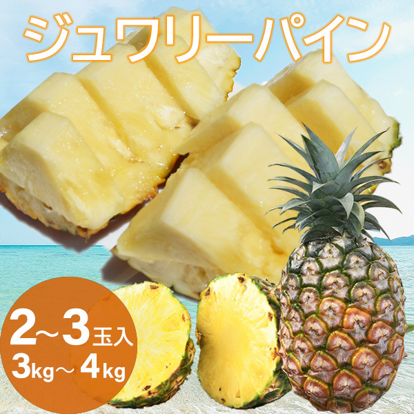 沖縄産 パイナップル 大玉(3kg〜4kg )2玉入 完熟パイン ジュワリー