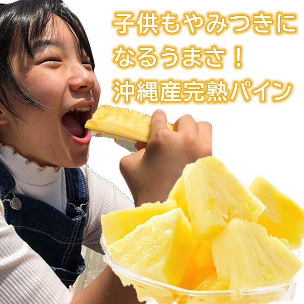 沖縄産 パイナップル 大玉(3kg〜4kg )2玉入 完熟パイン ジュワリー