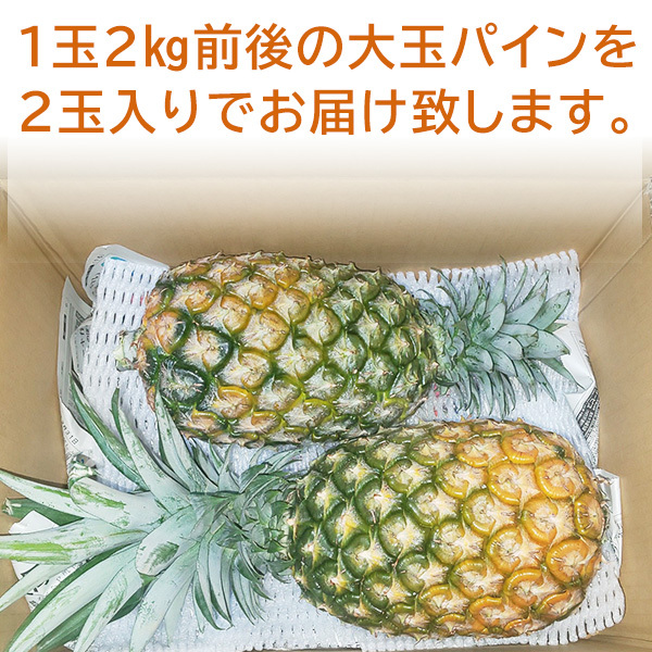 沖縄県産♪パイナップル♪2.6㎏② Amazon.co.jp: 合同酒精 NIPPON PREMIUM 沖縄産パイナップルの