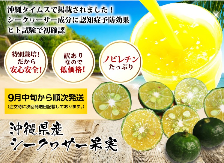 ゆぅ　10キロ　シークワサー　沖縄県産　採れたて発送 沖縄県産シークワーサー 10キロ送料込‼️ - メルカリ