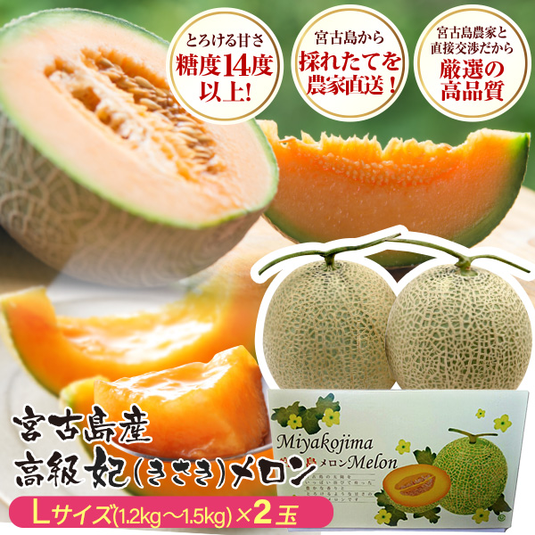 沖縄 宮古島産 冬 メロン 赤肉メロン 妃 高級メロン L（1.2kg〜1.5kg 