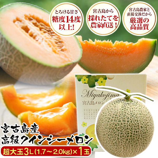 【夏ギフト】兵庫県産 赤肉メロン 最高等級 2玉 4.2kg前後 7月中旬発送 夏ギフト】兵庫県産 赤肉メロン 最高等級 2玉 4.2kg前後 7月中旬