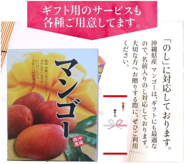 Jossie Furuya 　完熟　アップルマンゴー　12玉　約5kg 完熟マンゴー 規格外マンゴー 沖縄産 アップルマンゴー 加工用