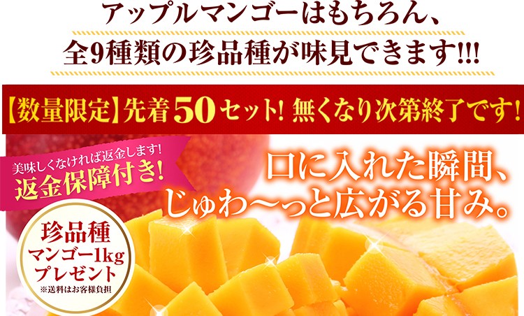 宮古島産アップルマンゴー 訳ありマンゴー＜B品＞2kg（4〜6玉