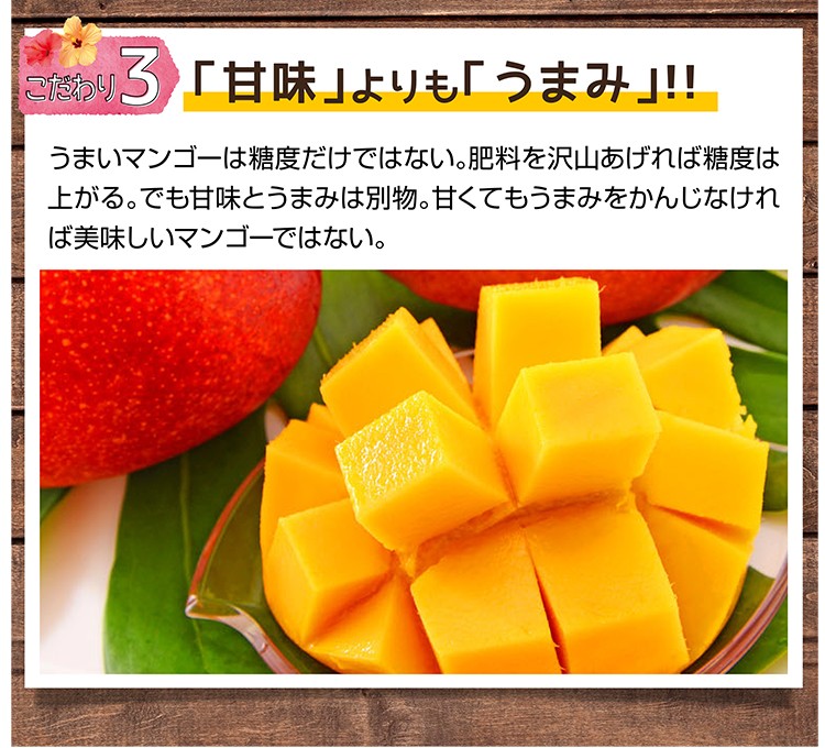 宮古島産アップルマンゴー 訳ありマンゴー＜B品＞2kg（4〜6玉