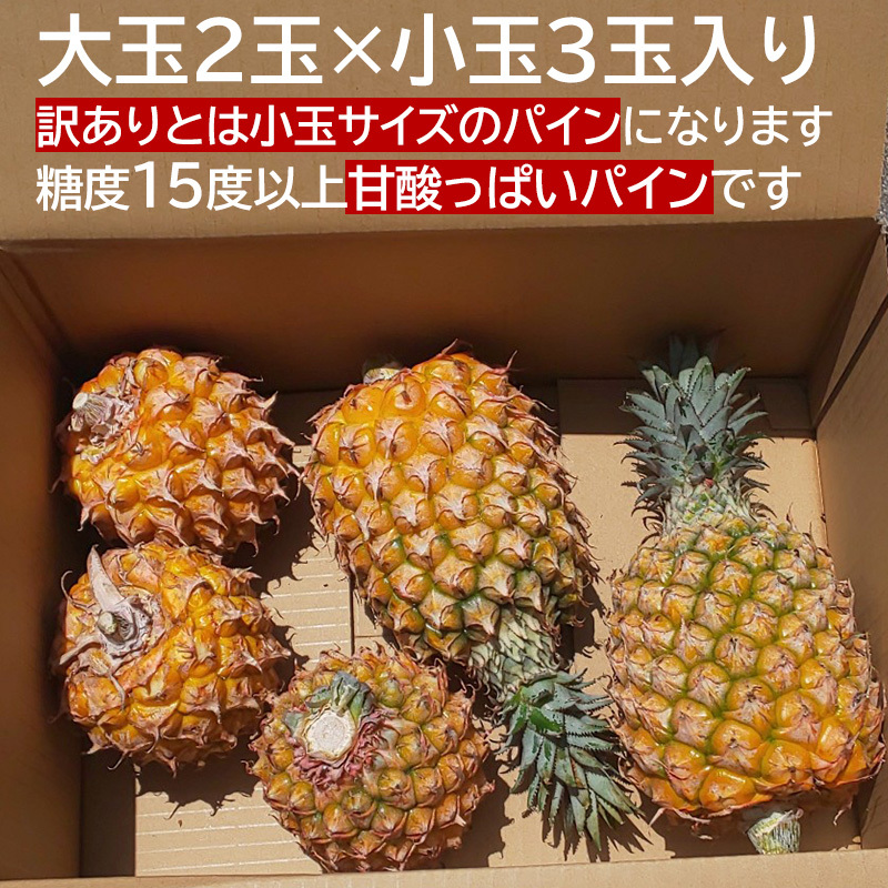 沖縄産 完熟 スナックパイン ボゴールパイン 3.5kg前後 5玉入り 大玉2玉 小玉3玉 糖度15度以上 パイナップル パイン