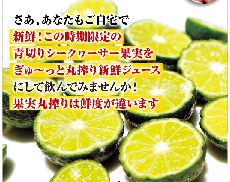 沖縄産 シークワーサー シークヮーサー 果実 種なし 2kg (60〜100個