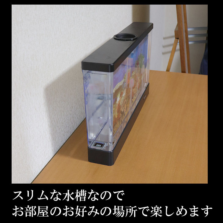 mantenshop7_ishi-aqua-wide