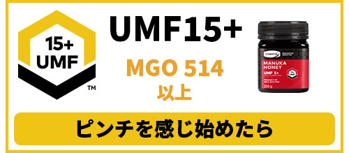 COMVITA マヌカハニー はちみつ MGO50+ 500g 蜂蜜 コンビタ