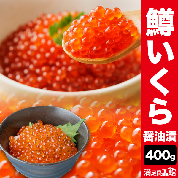 ���Ͱ��������ݥ������� 400g �����𤤤�������Ҥ� ����������Ҥ� ������ ������ ����̵�� ����