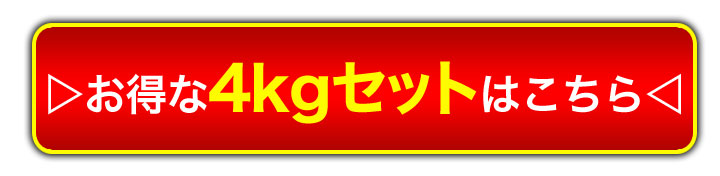 4kgへ