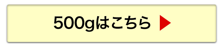 500gへ
