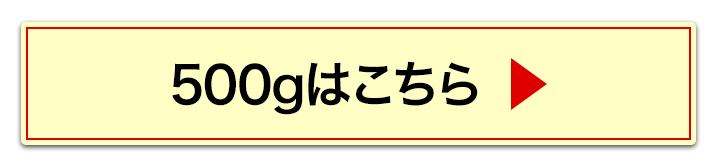 500gへ