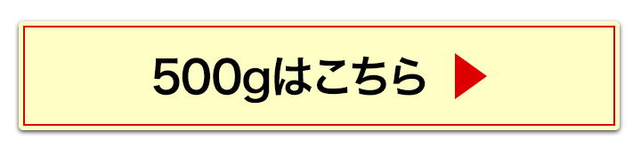 500gへ