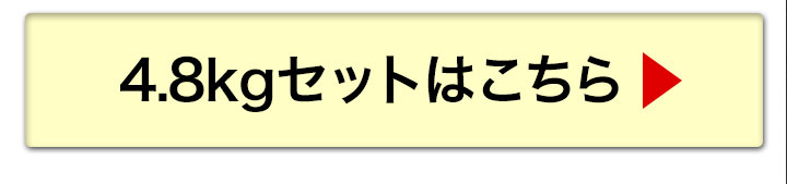 4.8kgへ