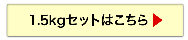 500gへ