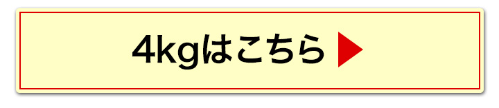 3kgへ