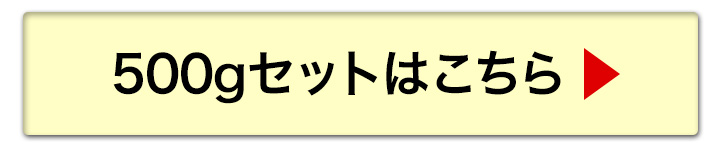 500gへ
