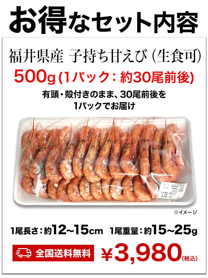 500g 福井県産 子持ち甘えび（生食可） 卵 こもち あまえび アマエビ