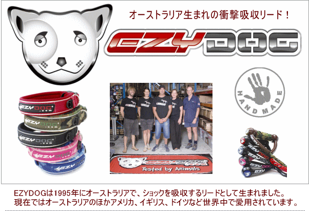 EZYDOG（イージードッグ） ヴァリオ6 マルチリード 中型犬・大型犬用