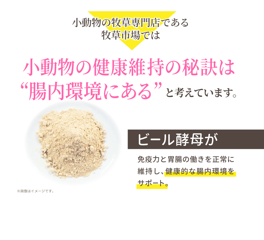 ビール酵母が免疫力と胃腸の働きを正常に維持し、健康的な腸内環境をサポート