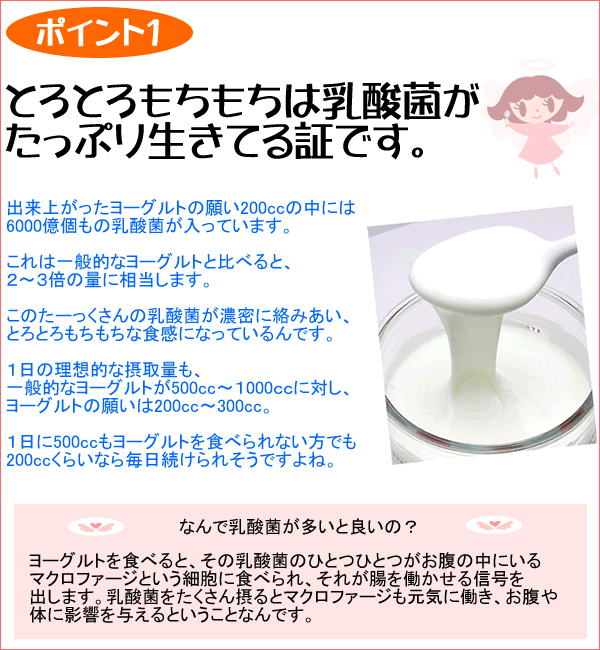 5個以上送料無料 カスピ海ヨーグルトの乳酸菌 ヨーグルトの願い 3本入り/カスピ海 ヨーグルト 種菌 天使のヨーグルト 乳製品 /【Buyee】 5個以上送料無料 カスピ海ヨーグルトの乳酸菌 ヨーグルトの願い 3本入り/カスピ海 ヨーグルト 種菌 天使のヨーグルト 乳製品 /【Buyee】