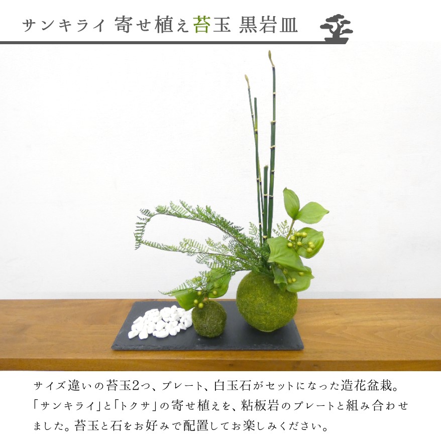 サンキライ 寄せ植え苔玉 黒岩皿
