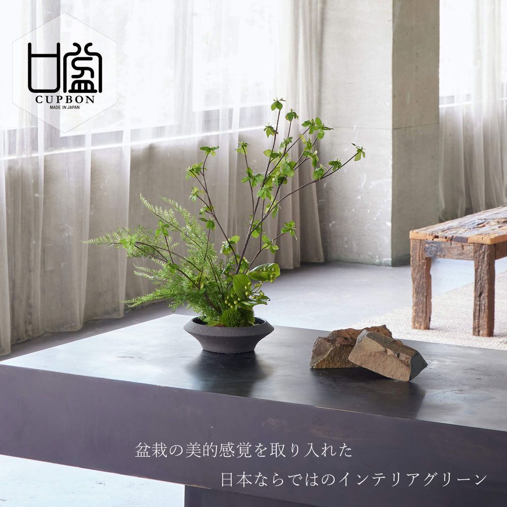 ドウダンツツジ 寄せ植え盆栽 平皿/小