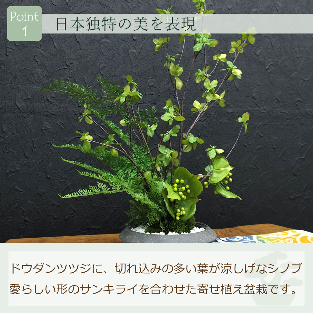 日本独特の美を表現