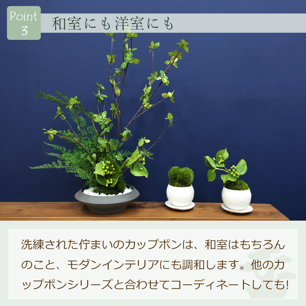 和室にも洋室にも