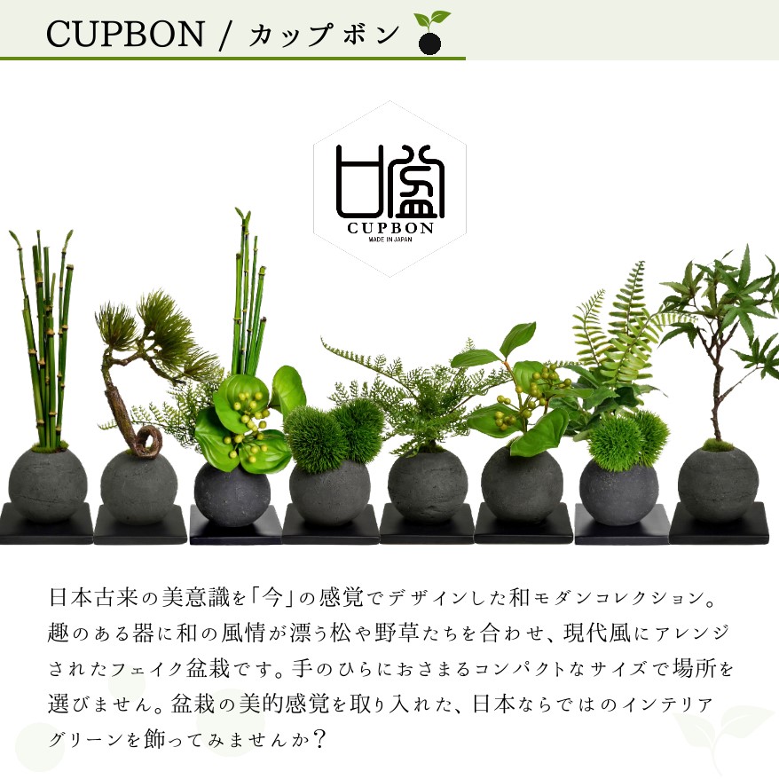 カップボン