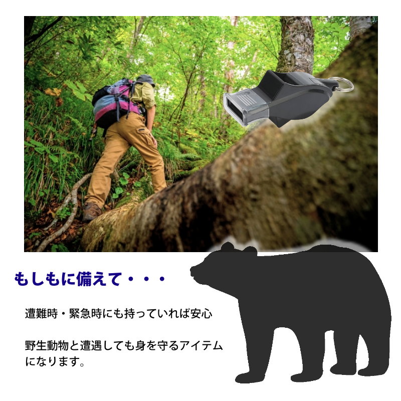 ドルフィンホイッスル6