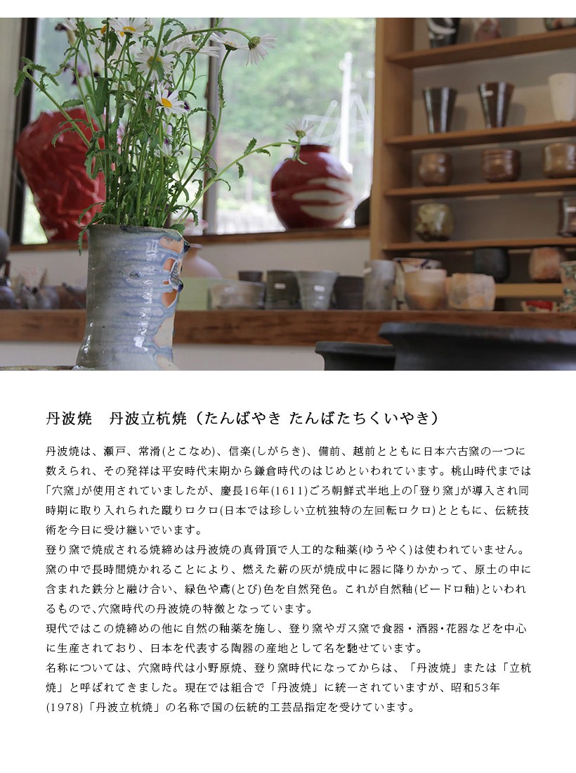 丹波焼 丹波立杭焼 丹文窯 白黒 小鉢 取り皿 陶器 かわいい おしゃれ