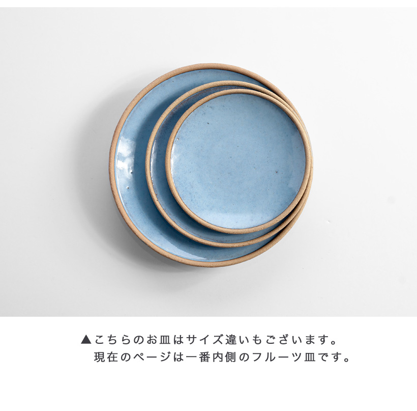 南陶窯　青丸皿2枚セット 波佐見焼 利左エ門窯 テラコッタ ブルー フルーツ皿 陶器 中皿 小皿 丸