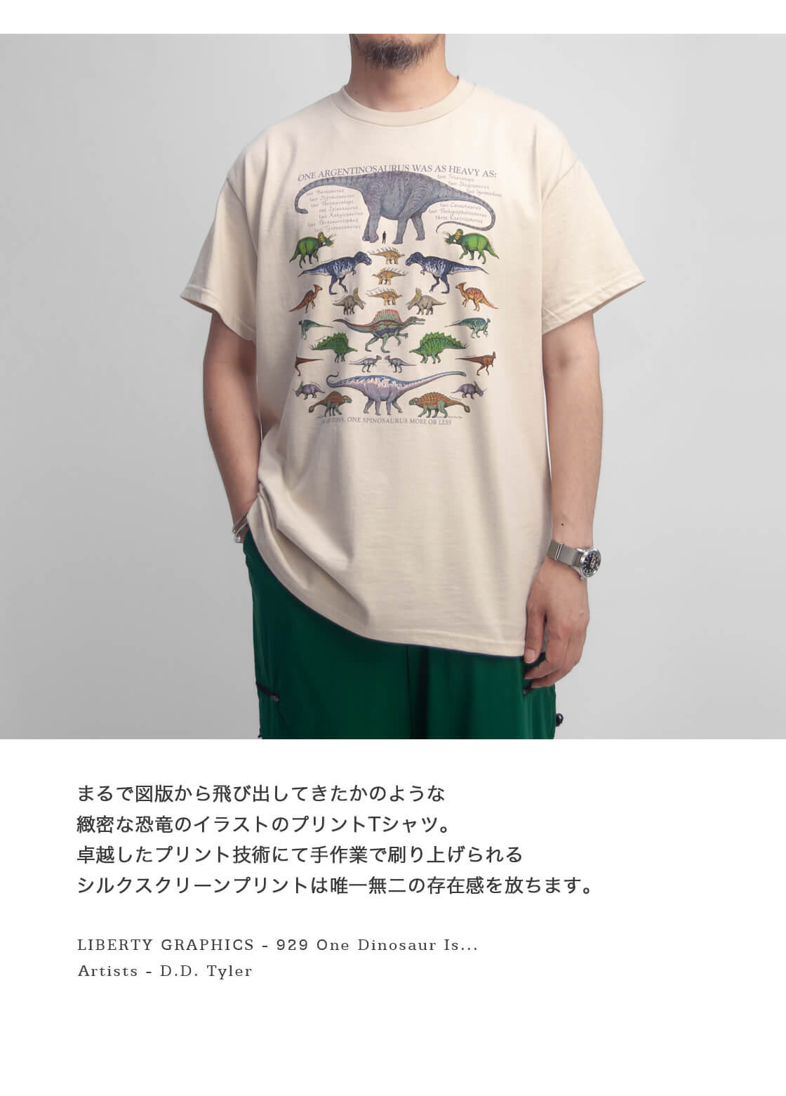   スペースロゴ グラフィック クラシック Tシャツ THE NORTH FACE ノースフェイス Tシャツ COLOR PEAK S/SR/TEE