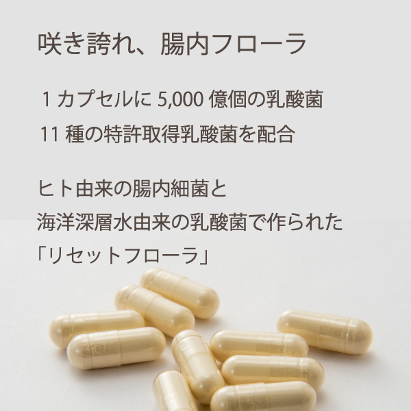 リセットフローラ 210粒 腸内フローラ 乳酸菌 善玉菌 アレルギー 妊婦