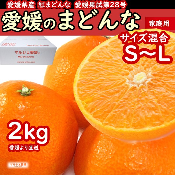 せとか 2キロ サイズ混合 家庭用 2kg 柔らかい果肉 傷有訳あり