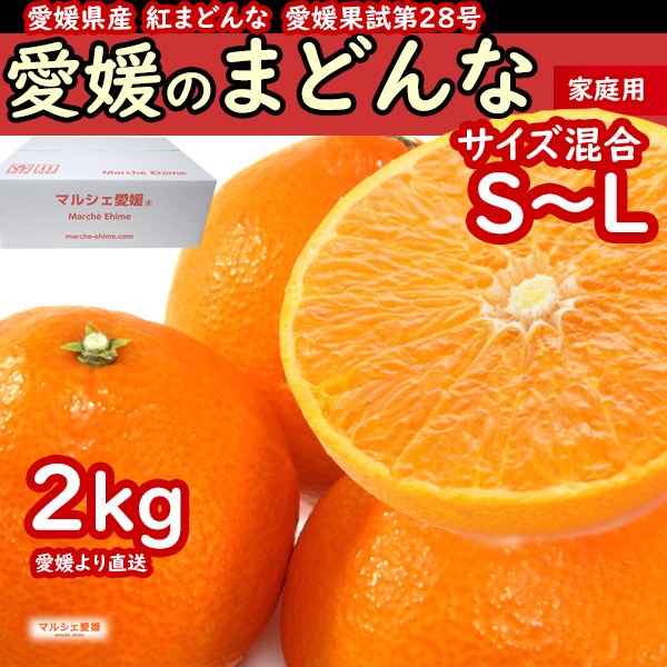 紅まどんな 家庭用 みかん 訳あり 箱買い 年内発送　愛媛のまどんな 家庭用 サイズ混合 2kg 表面に傷有 カットフルーツに最適 一部地域 送料無料