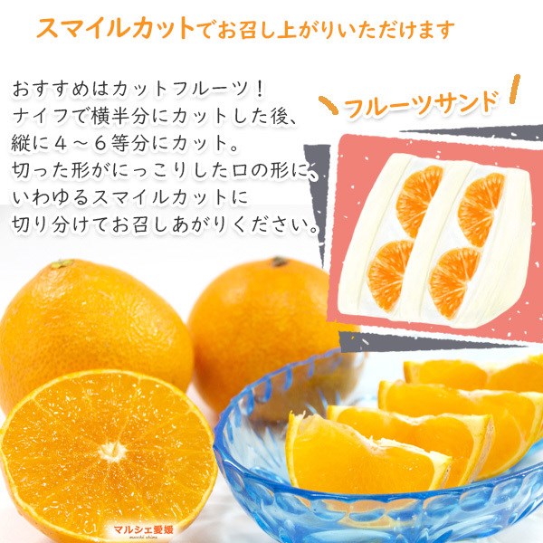 愛媛のまどんな 紅まどんな 2キロ 家庭用 みかん 訳あり 箱買い