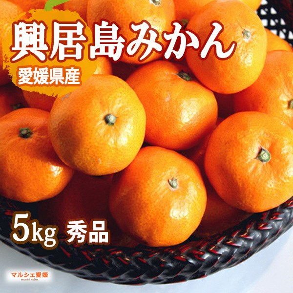 ݂  M L Gi 5kg 5L  Ε  Q ݂ R  ӂ邳 O ꕔn 