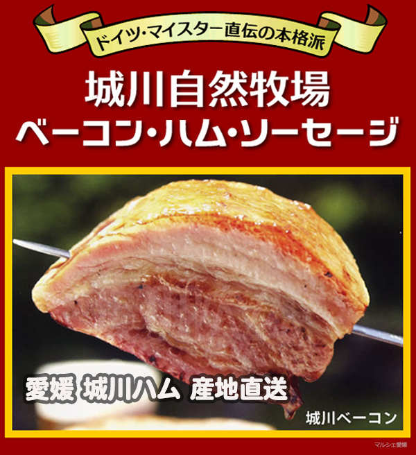 城川ハム ベーコン ウィンナー　ギフト